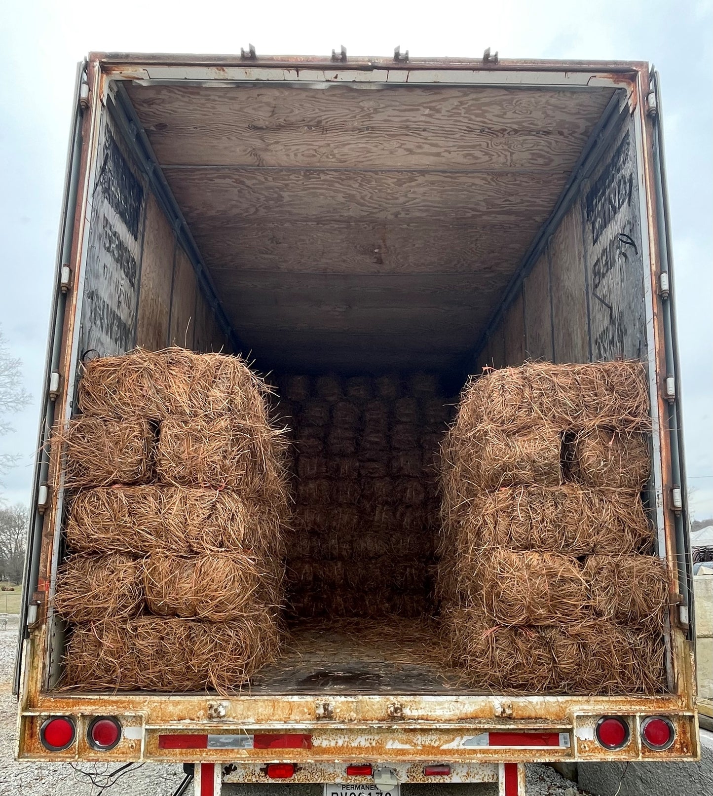 Long Needle Pine Straw